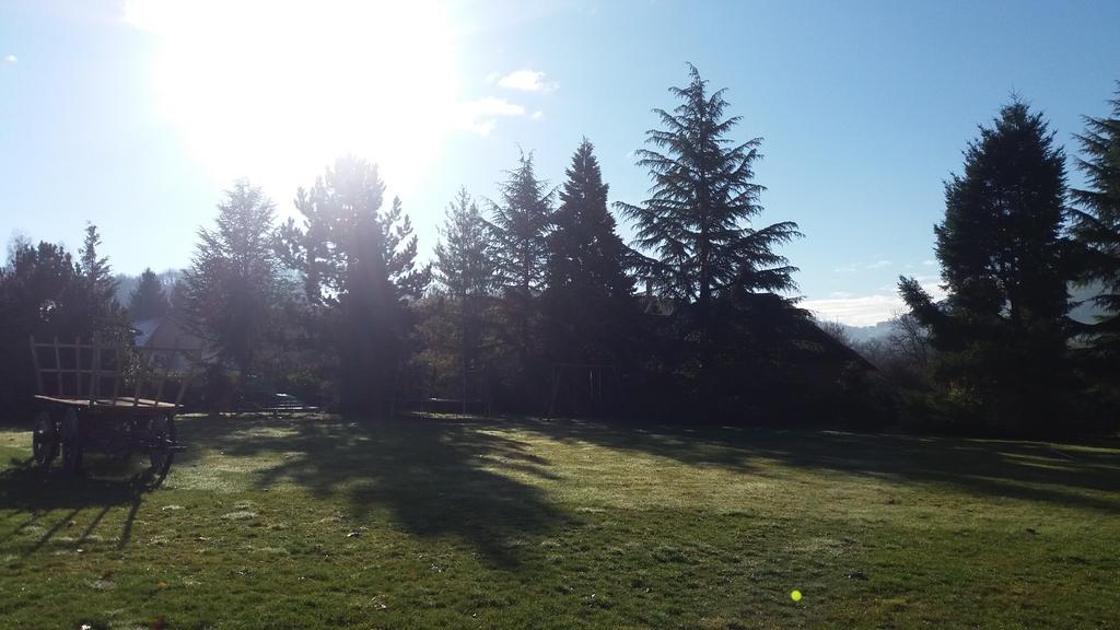 Gites De La Croisee Des Chemins - Piscine Chauffee - Spa, Hammam Et Sauna Izeaux Pokój zdjęcie